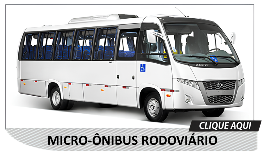 Micro-Ônibus Rodoviário